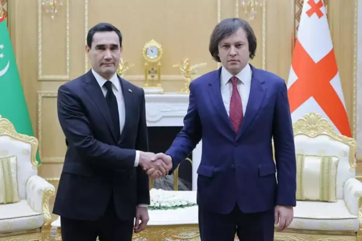 Georgia, Turkmenistan Commend Positive Dynamics in Political and Economic Ties