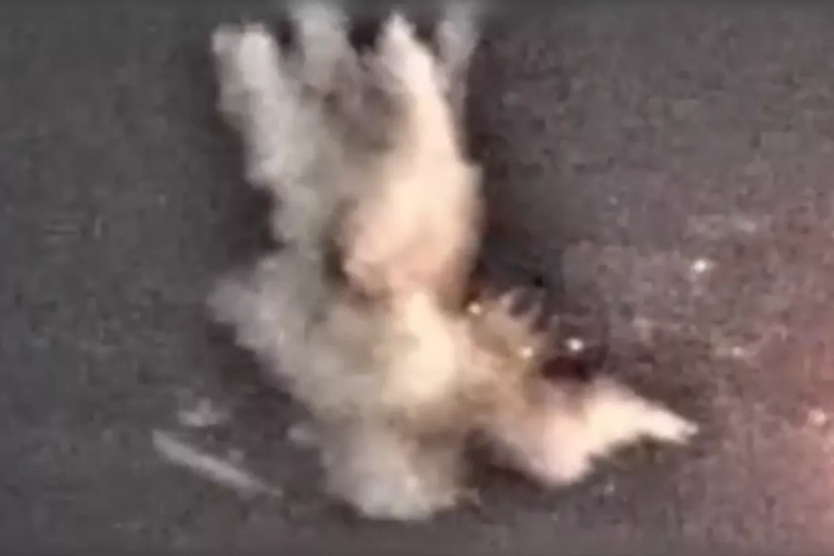 Watch: First-Ever Israeli Strike on Iranian Navy Targets in the Caspian