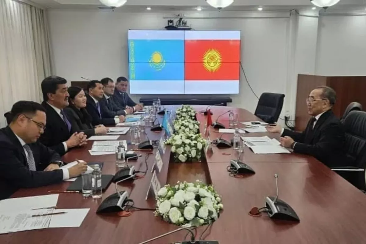 Kyrgyzstan and Kazakhstan Intend to Deepen Cooperation in Ecology