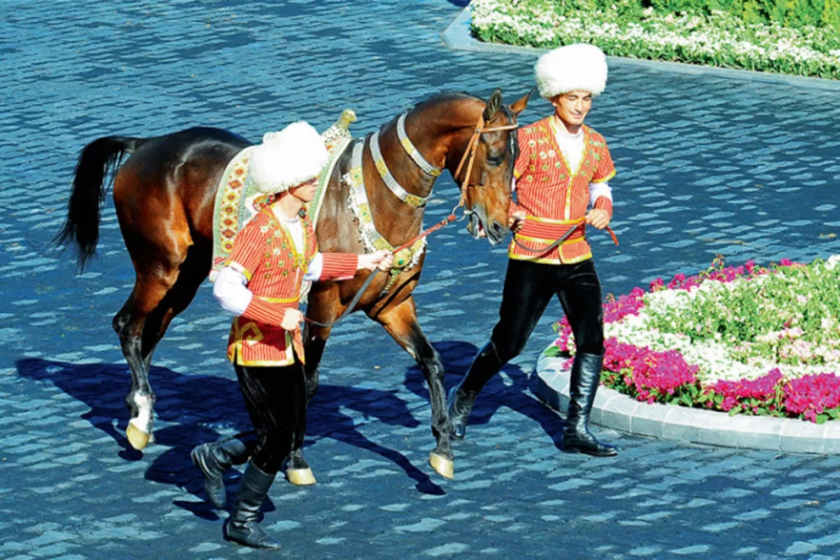 Turkmen, Azerbaijani Breeders Unite to Revive Legendary Akhal-Teke and Karabakh Horses