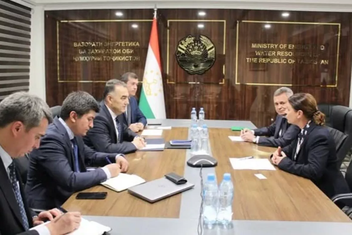Tajikistan, Switzerland Explore Expanded Cooperation in Water and Energy