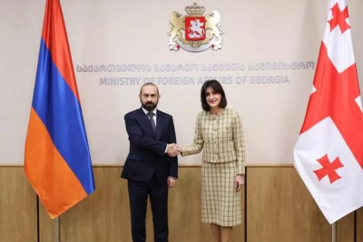 Armenia and Georgia FMs Hold Talks on Regional Issues