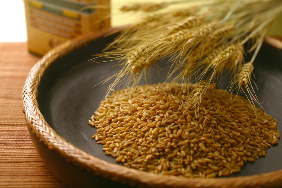 Kazakhstan Reinstates Grain Supplies to Iran and Azerbaijan