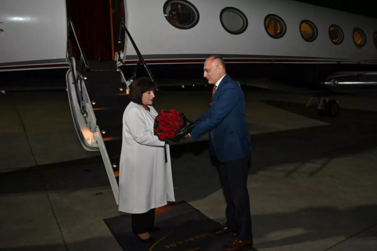 Azerbaijani Parliamentary Speaker Visits South Africa