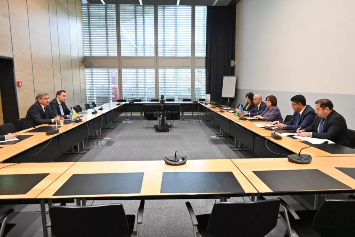 Azerbaijan Parliament Speaker Meets with Namibian, Bosnian Counterparts in Geneva
