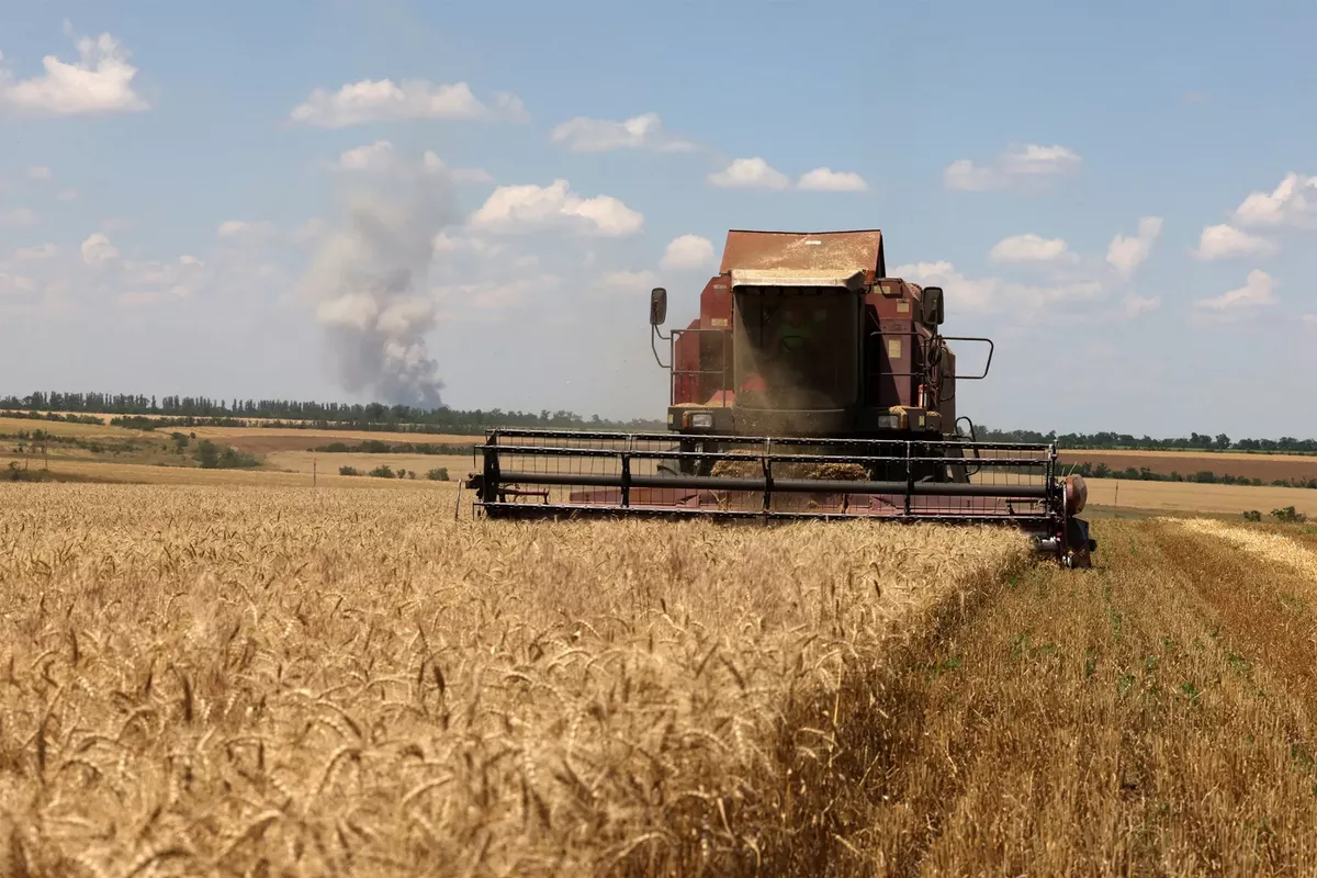 Kazakhstan Strengthens Agricultural Ties with Uzbekistan Through Grain Export Boom