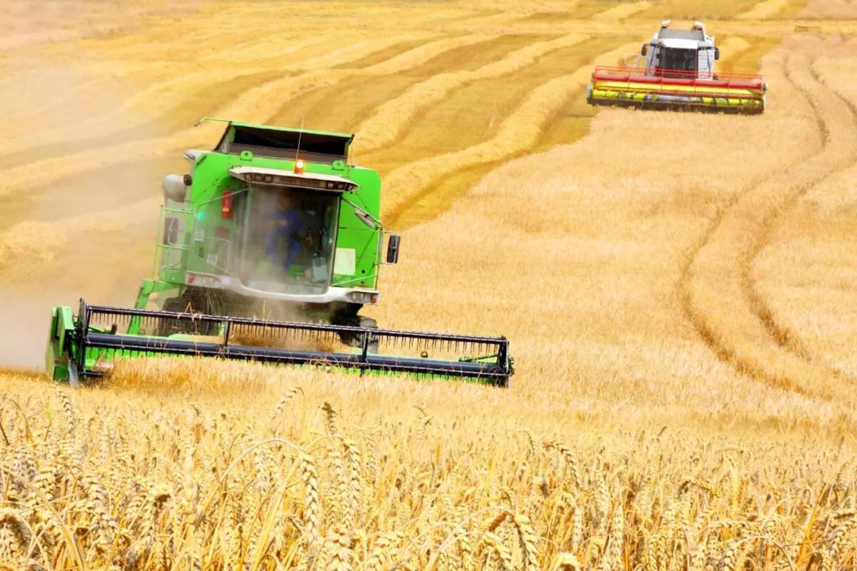 Kazakhstan Expands Grain Exports to Europe via Estonian Port