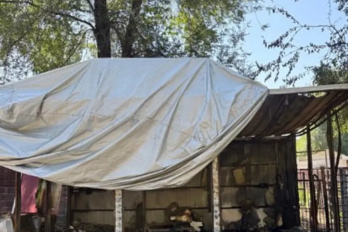 Night Fire Erupts at Zoo in Kazakhstan, Damaging Tourist Electric Vehicles