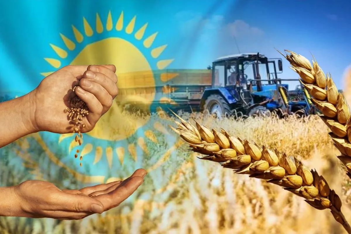 Kazakhstan Expands Grain Trade as Exports Jump by Over 58%