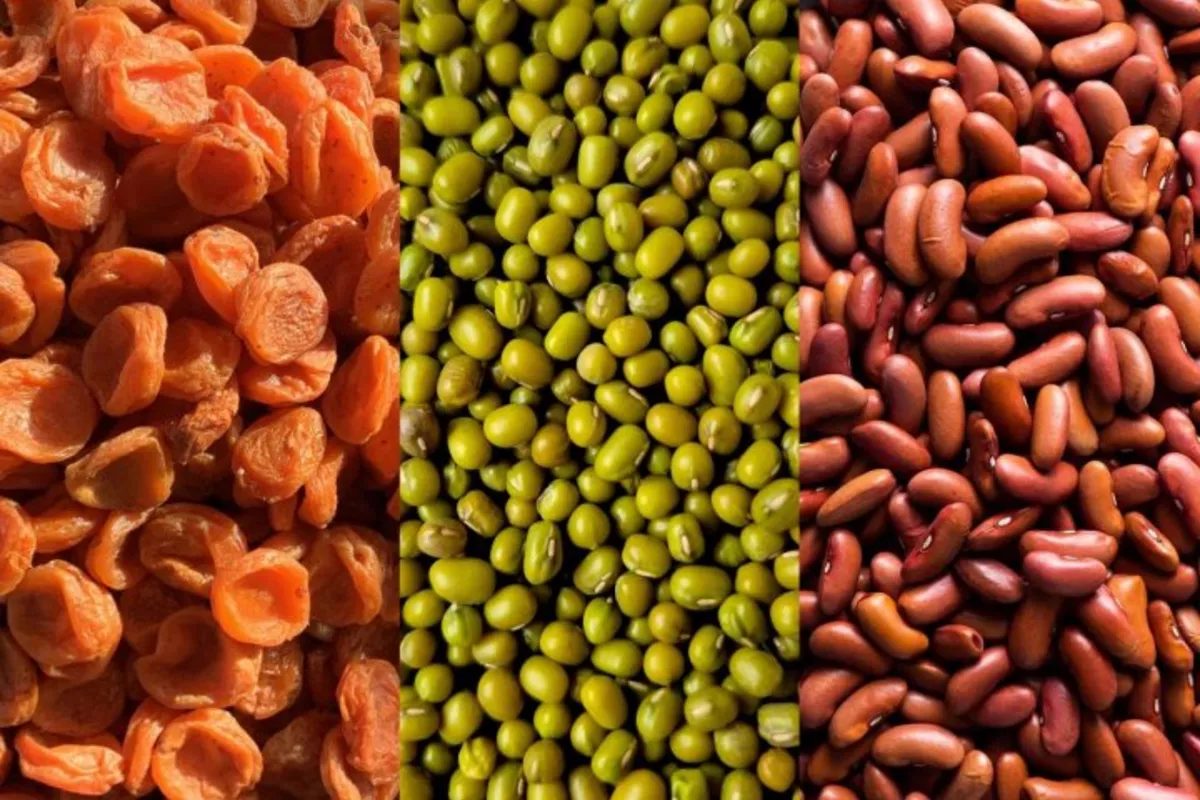 Dominican Republic Opens Its Market to Uzbek Dried Fruits and Legumes