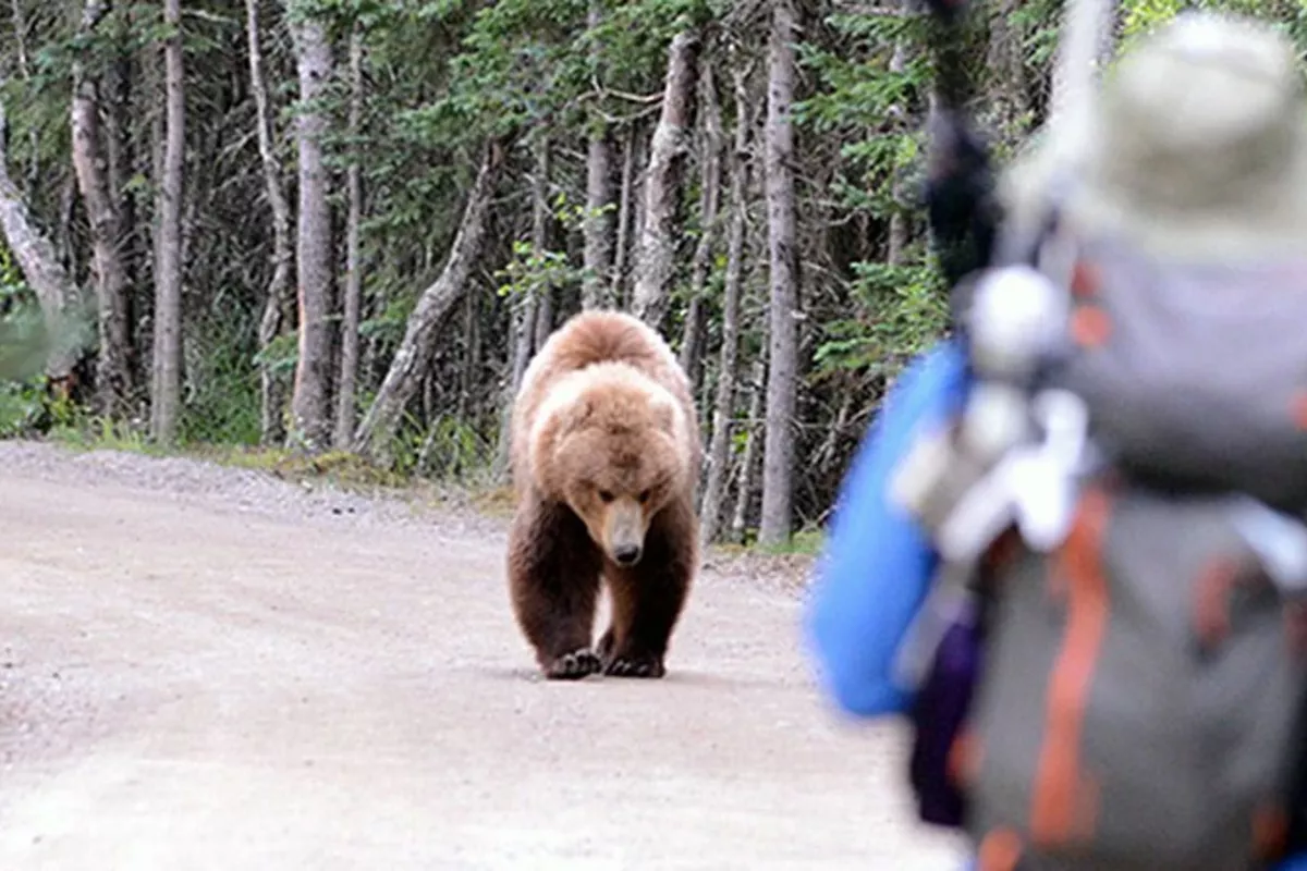 Teen Survives Bear Attack After Smartphone Battery Catches Fire in Russia
