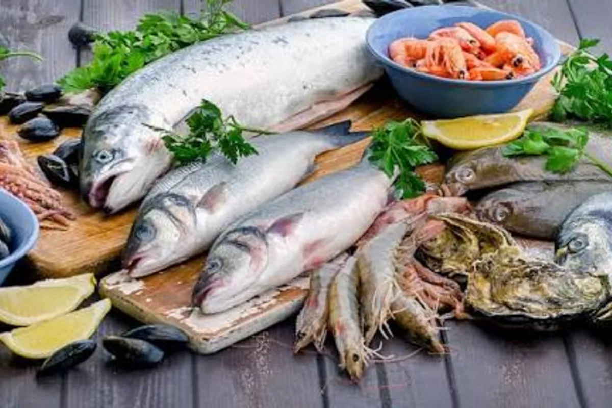 Armenia Exports 60 Tons of Fish and Fish Products to UAE - VIDEO