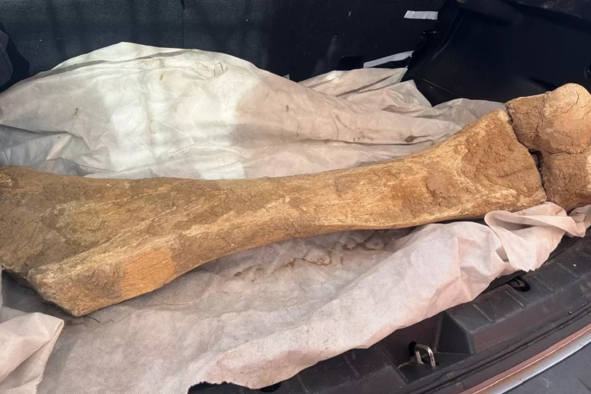 Fisherman in North Kazakhstan Unearths 15,000-Year-Old Mammoth Bone