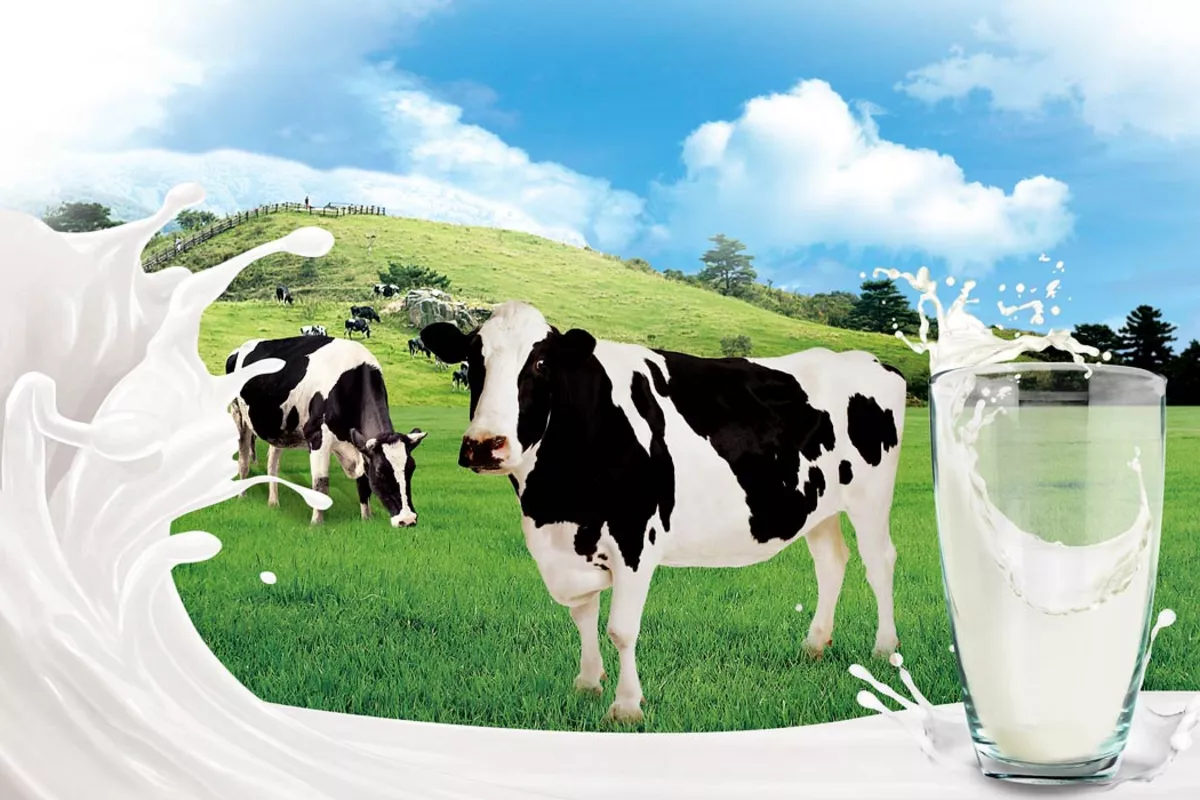 Kazakh Businessman Loses Milk Subsidies in Casino Gambling Scandal
