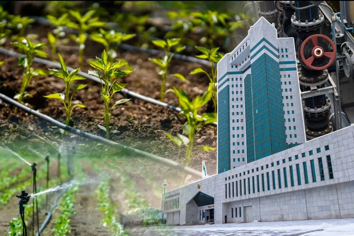 Kazakhstan to Hold Key Government Meeting on Water Issues