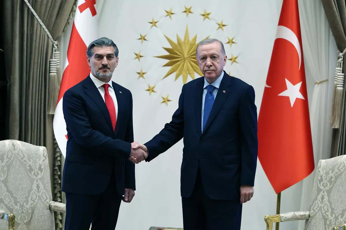 Georgian President Extends Condolences to Turkish Counterpart Over Plane Crash