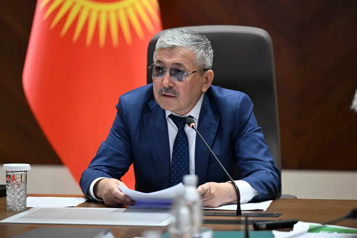 Kyrgyzstan's Economy Shows Steady Growth - Head of the Presidential Administration
