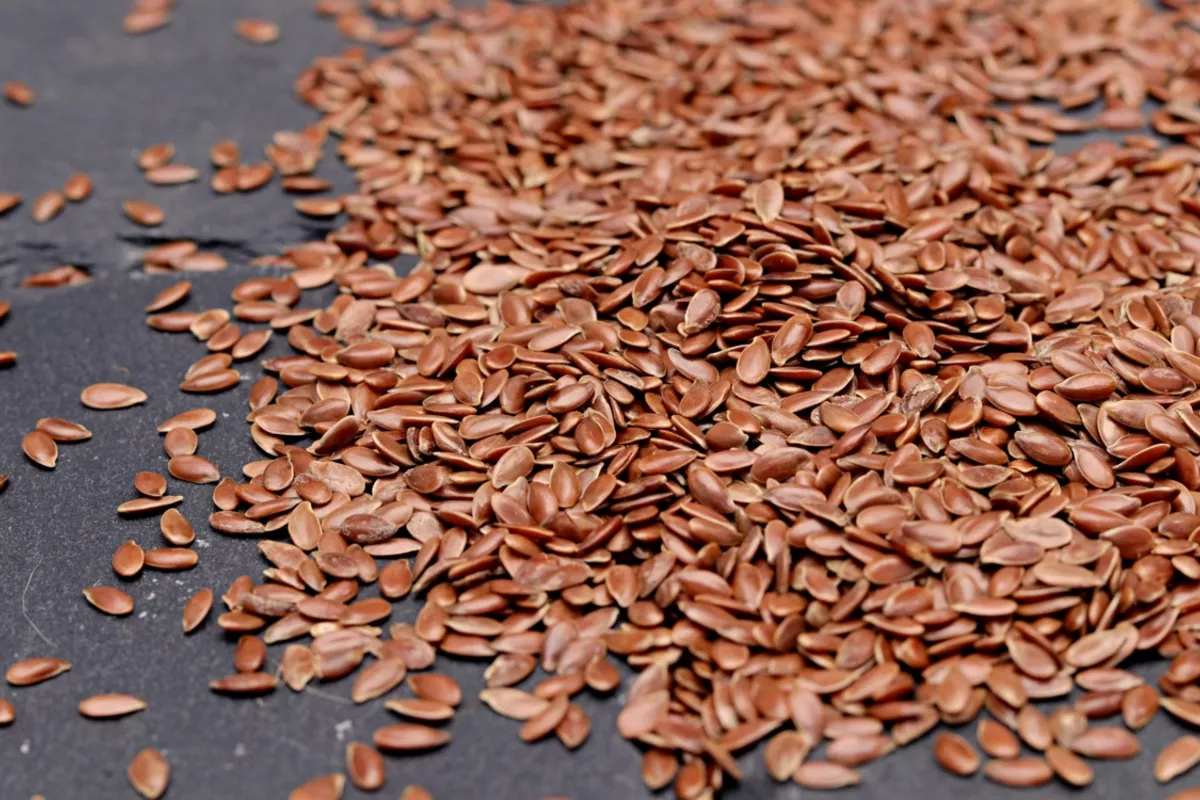 Kazakhstan Sends Massive Flax Seed Shipment to China