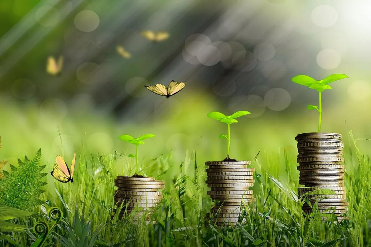 Germany Funds Uzbekistan’s Green Future with €9M