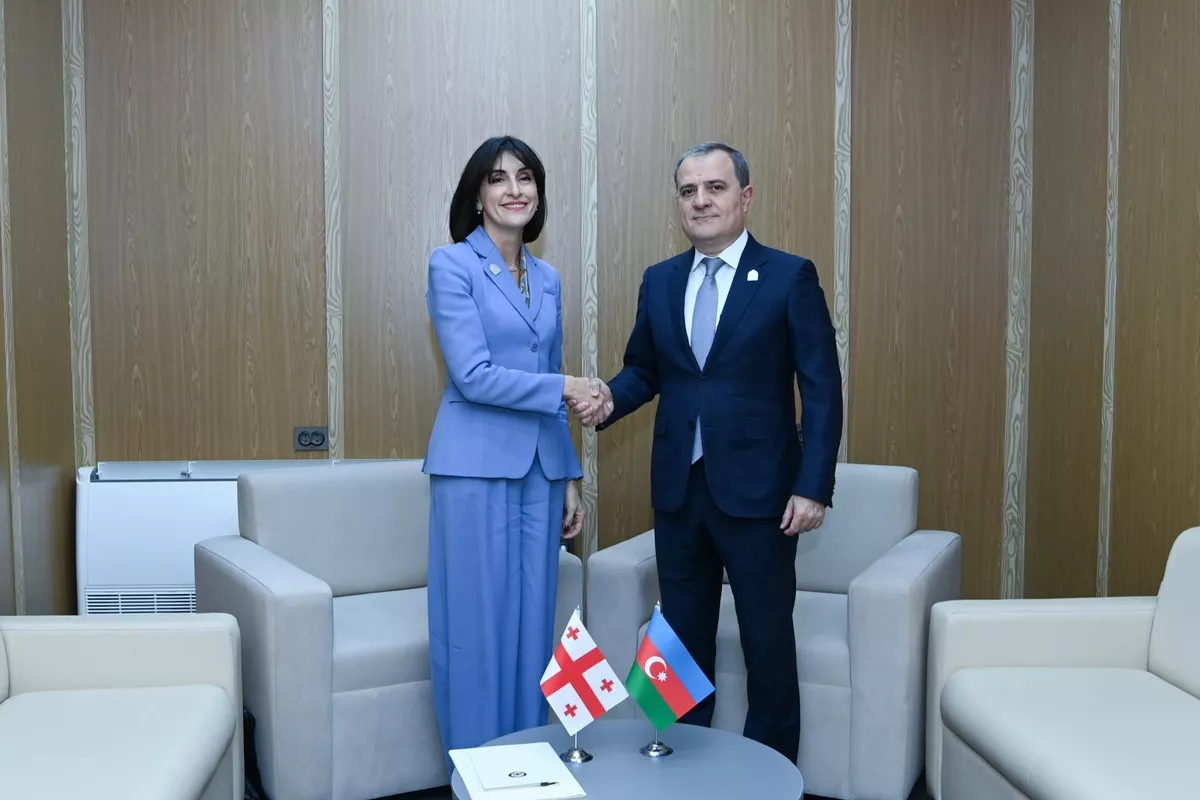Azerbaijani and Georgian Foreign Ministers Discuss Bilateral Cooperation