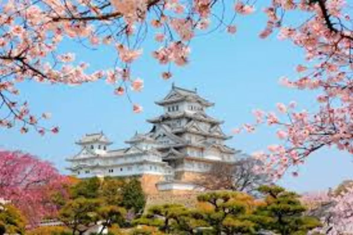 Uzbek Visitors to Japan Surge by 60% in 2025