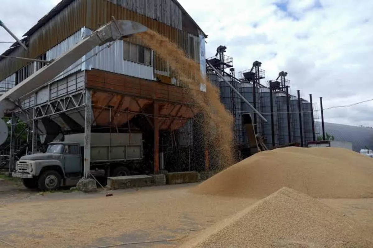 Iran Emerges as Top Buyer of Russian Grain