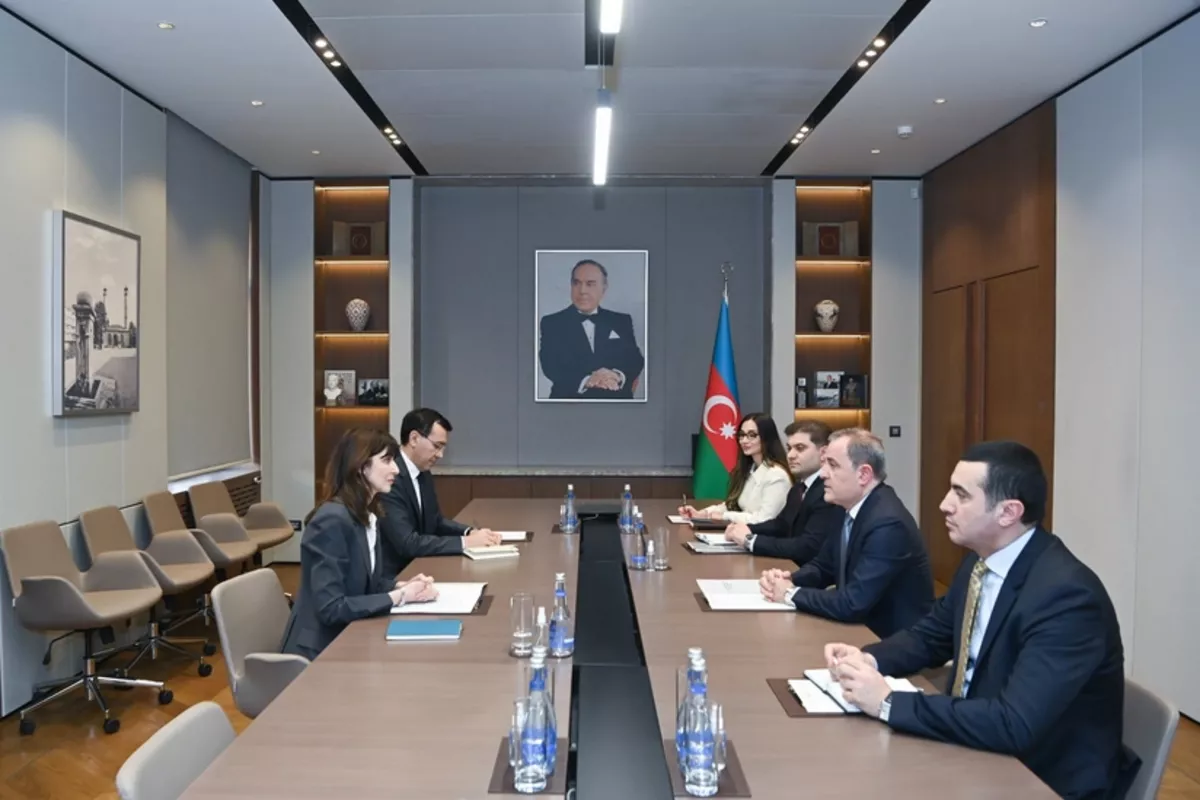 Azerbaijan FM Meets UN Coordinator to End Diplomatic Mission