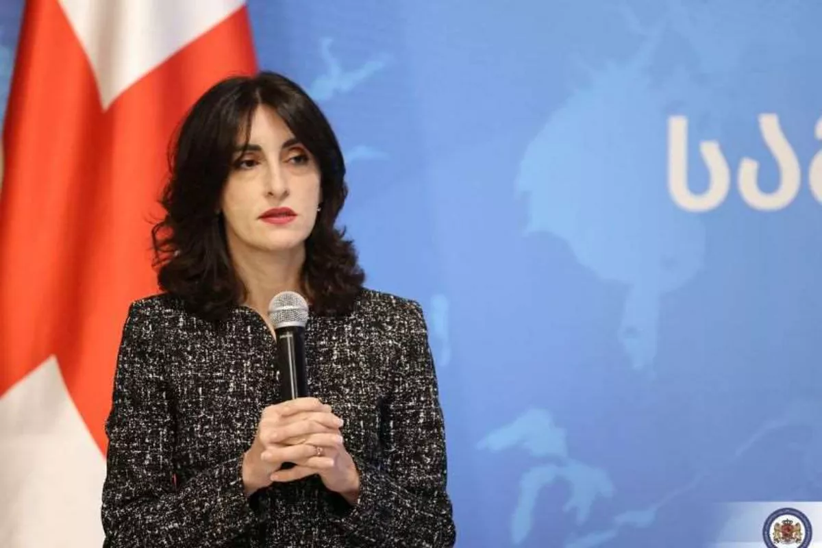 Azerbaijan-Georgia Strategic Partnership Yields Tangible Results, Says FM