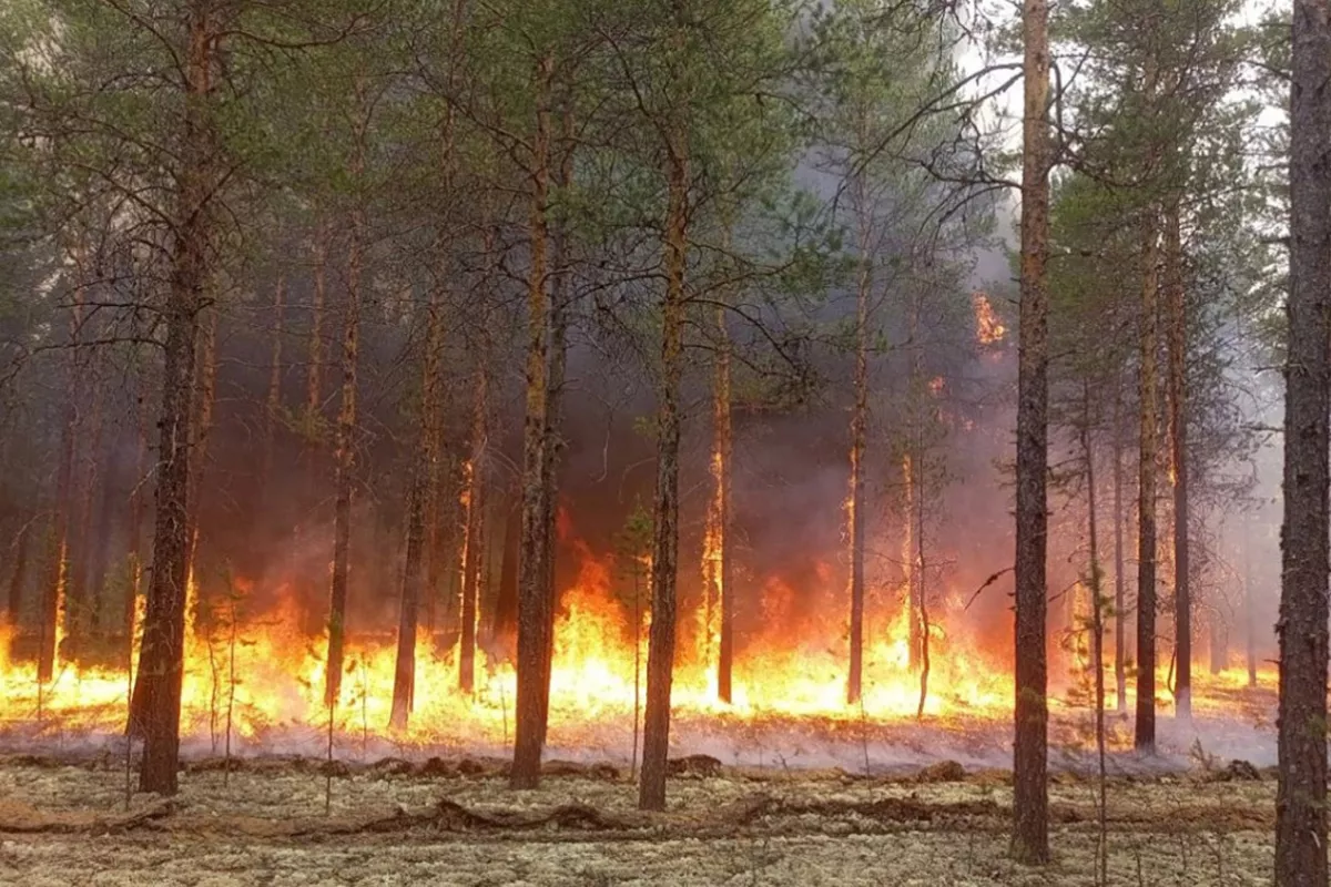 Russia’s Siberia Battles Massive Wildfires as Blazes Expand