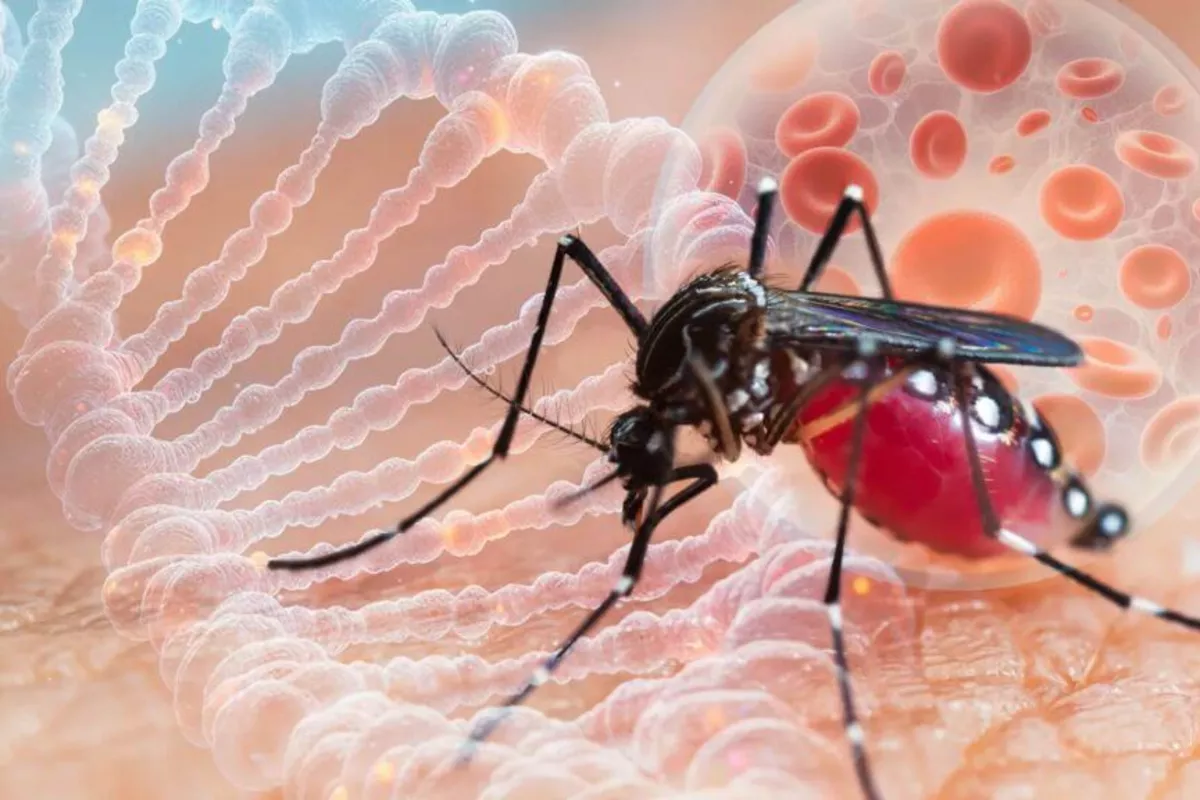 Armenia Reports Two West Nile Fever Cases in 2025 Amid Rising Temperatures