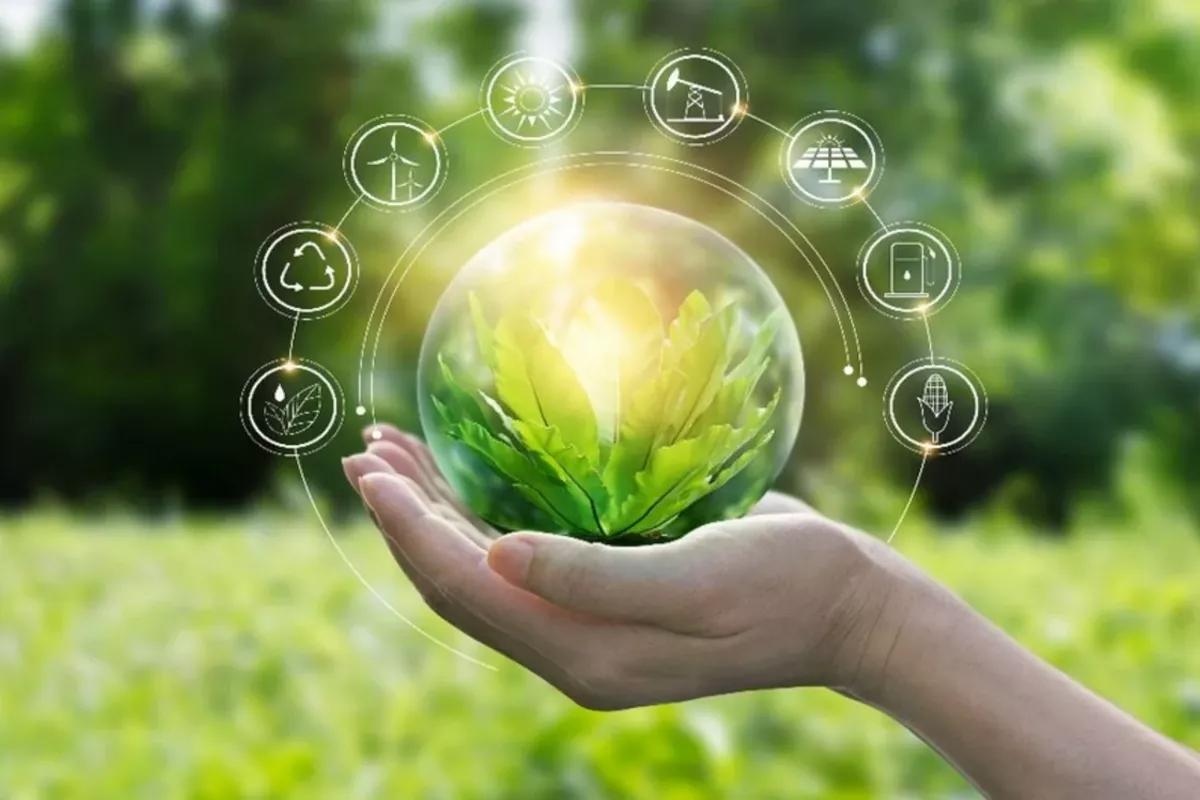 Türkiye Sets Green Energy Goals, Attracts $300 Billion in FD