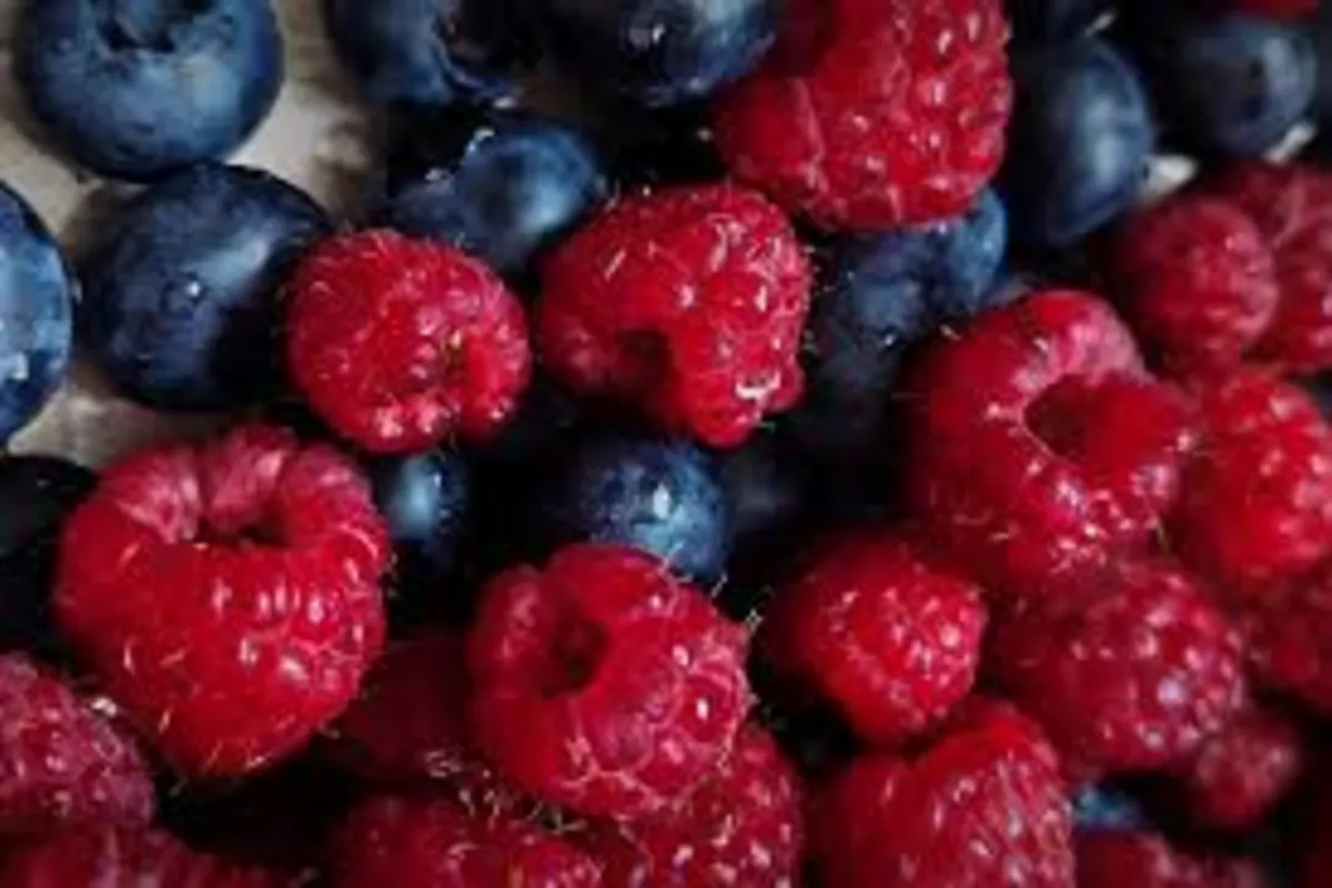 Uzbekistan Boosts Fruit and Berry Production by 6.6% in Early 2025