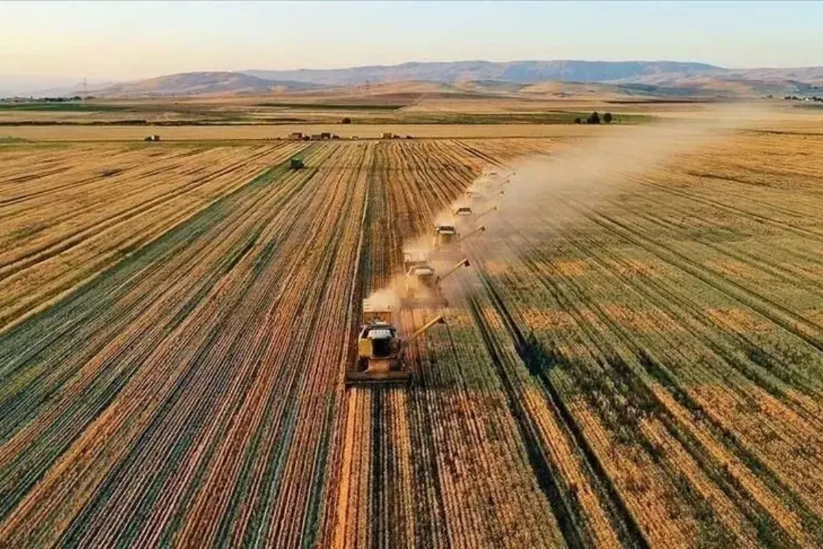 Türkiye Secures $750M World Bank Financing for Agrifood Sector