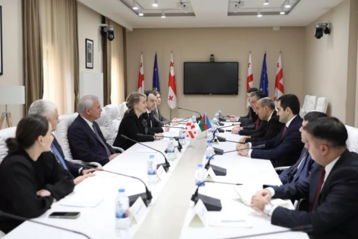 Azerbaijan, Georgia Discuss Creation of Joint College