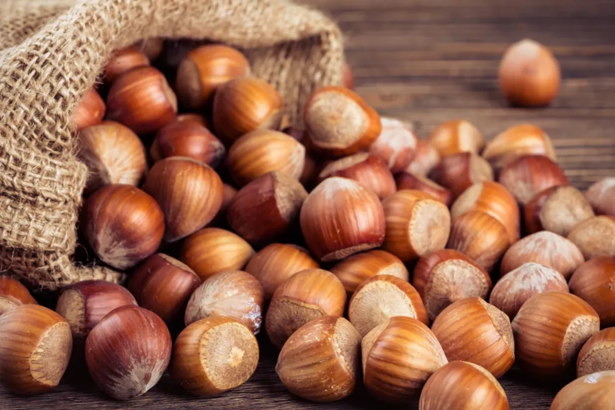 Azerbaijan, China Seal Nut Export Agreement to Boost Agricultural Trade
