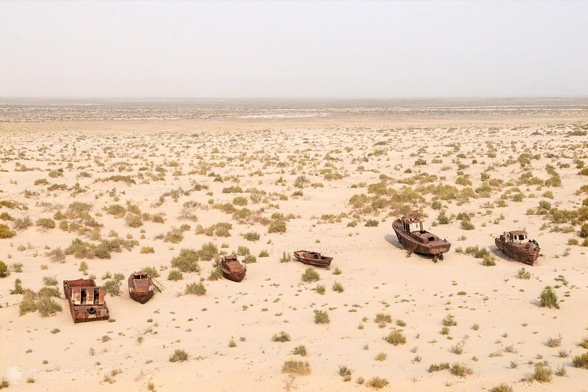 Kazakhstan Initiates Forest Planting on Aral Sea’s Dried-Up Bed