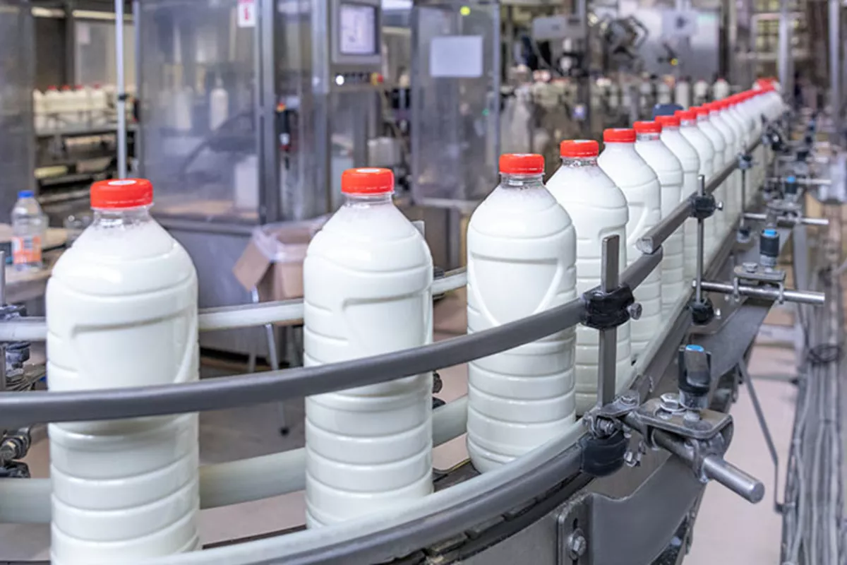 Azerbaijani Journalists Tour Damar Dairy Plant in Uzbekistan's Urgench