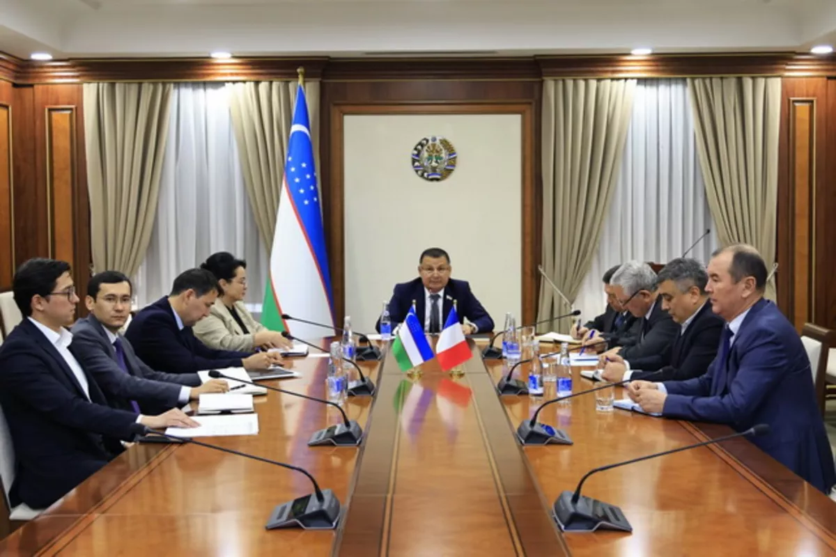 Uzbekistan, France Hold Virtual Talks to Boost Interparliamentary Cooperation