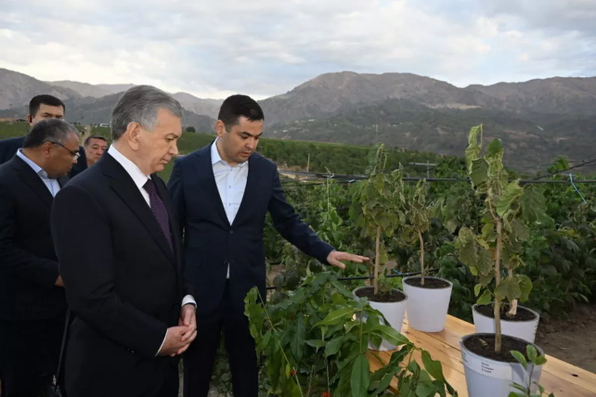 Uzbek Leader Tours Chimyön Orchard, Highlights Boost to Horticulture and Processing