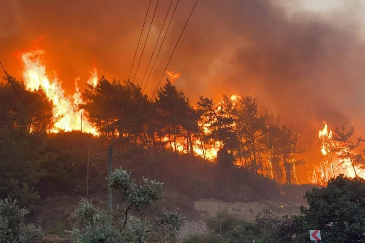 Wildfires Ravage 80,000 Hectares in Türkiye This Year