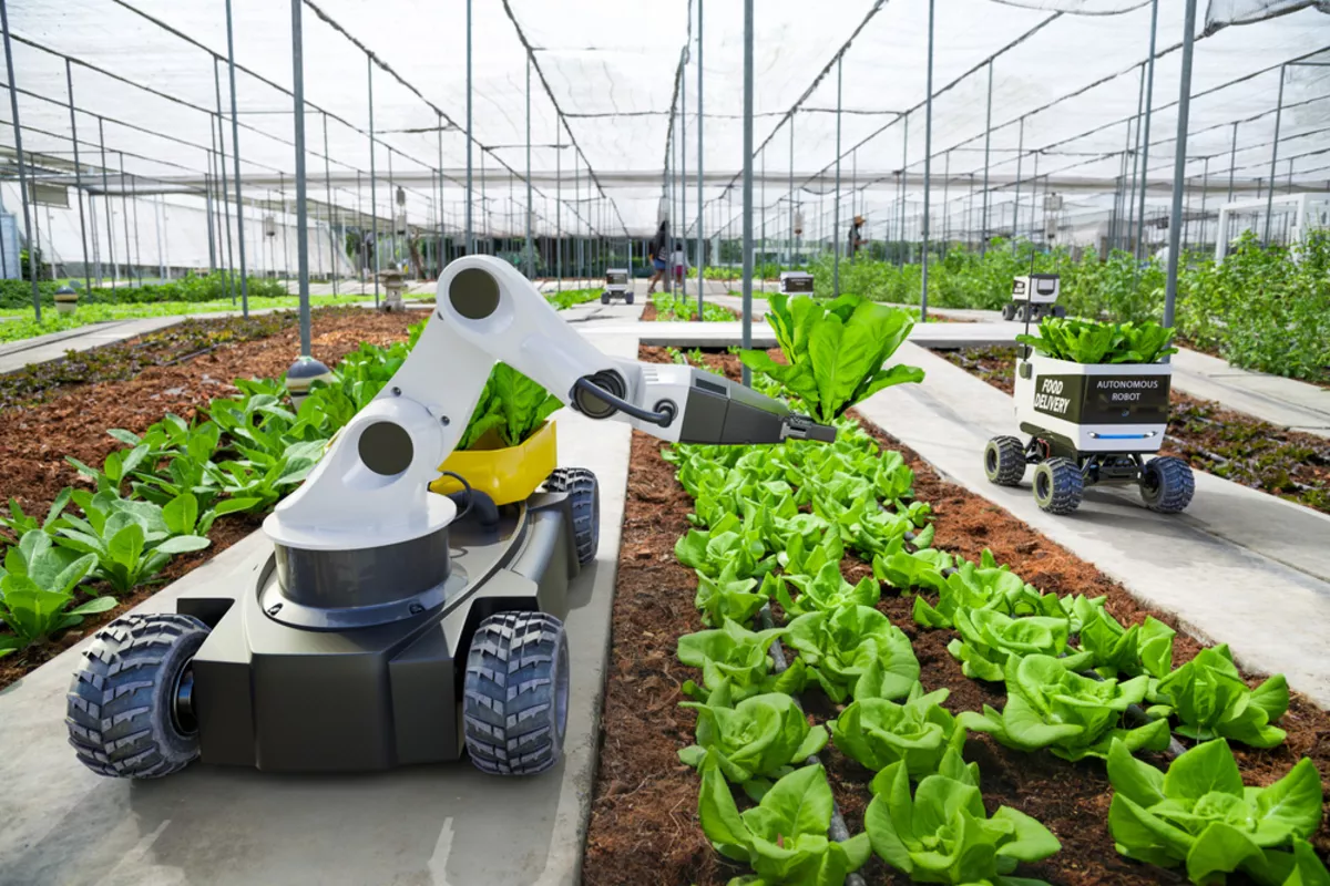 Kyrgyzstan to Cultivate Future Farming with New “Smart Farm” Initiative