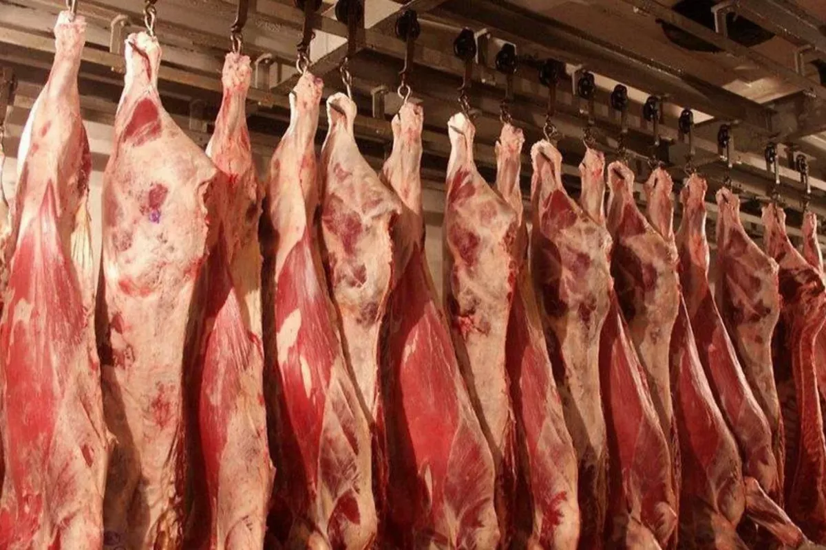 Kazakhstan Boosts Global Exports of Meat, Dairy