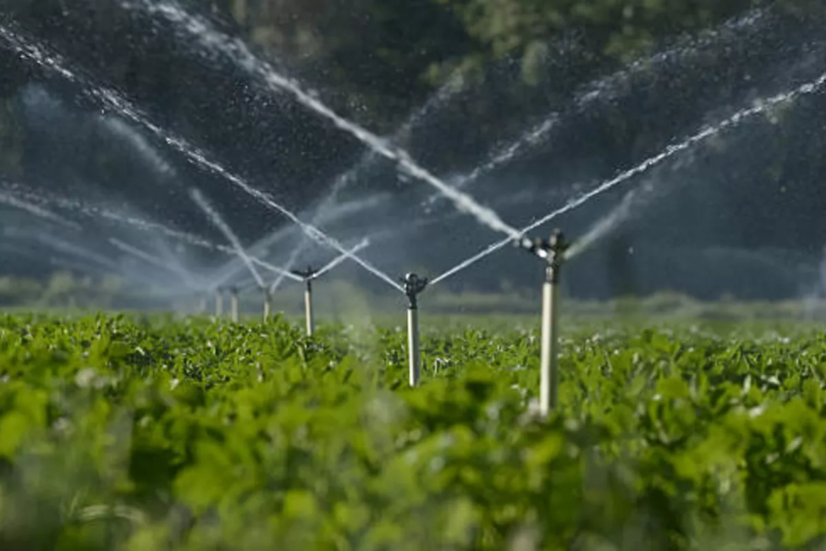 Uzbekistan Secures Major EBRD Funding for Irrigation System Upgrades