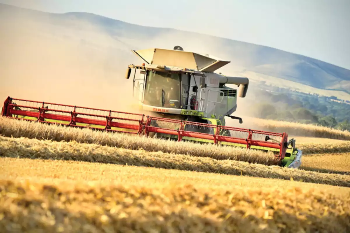 Kazakhstan Replaces Russia as Iran's Barley Supplier This Season – Expert