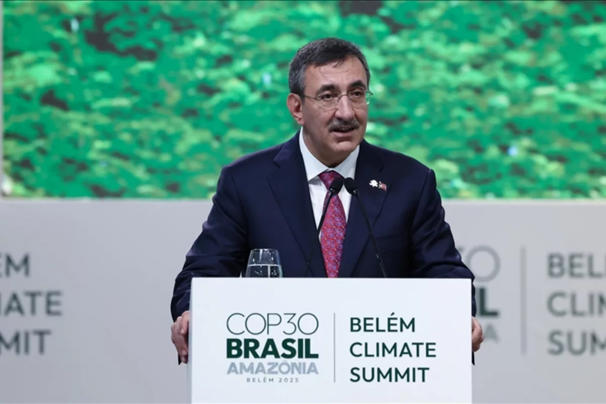 Türkiye Aims to Bridge Gap Between Global North and South in Combating Climate Change: Vice President
