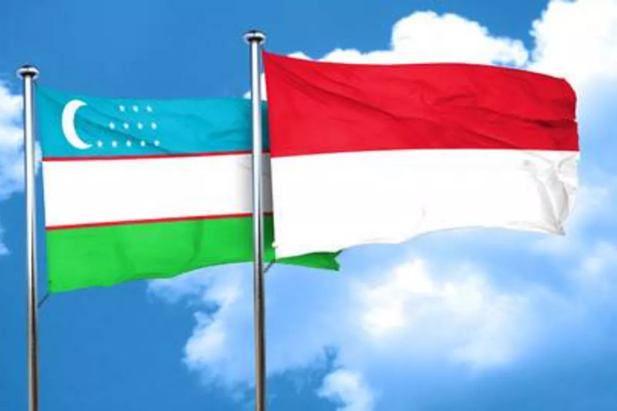 Uzbekistan, Indonesia Lift Airline Limits, Expand Travel Horizons
