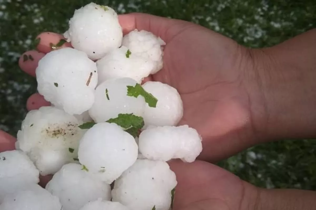 Quail-Egg-Sized Hailstones Pound Kyrgyzstan in Sudden Storm