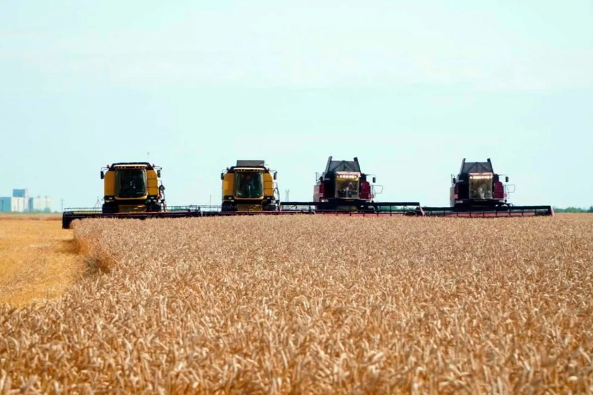 Kazakhstan Exports Grain to 45 Countries Amid Record Harvest