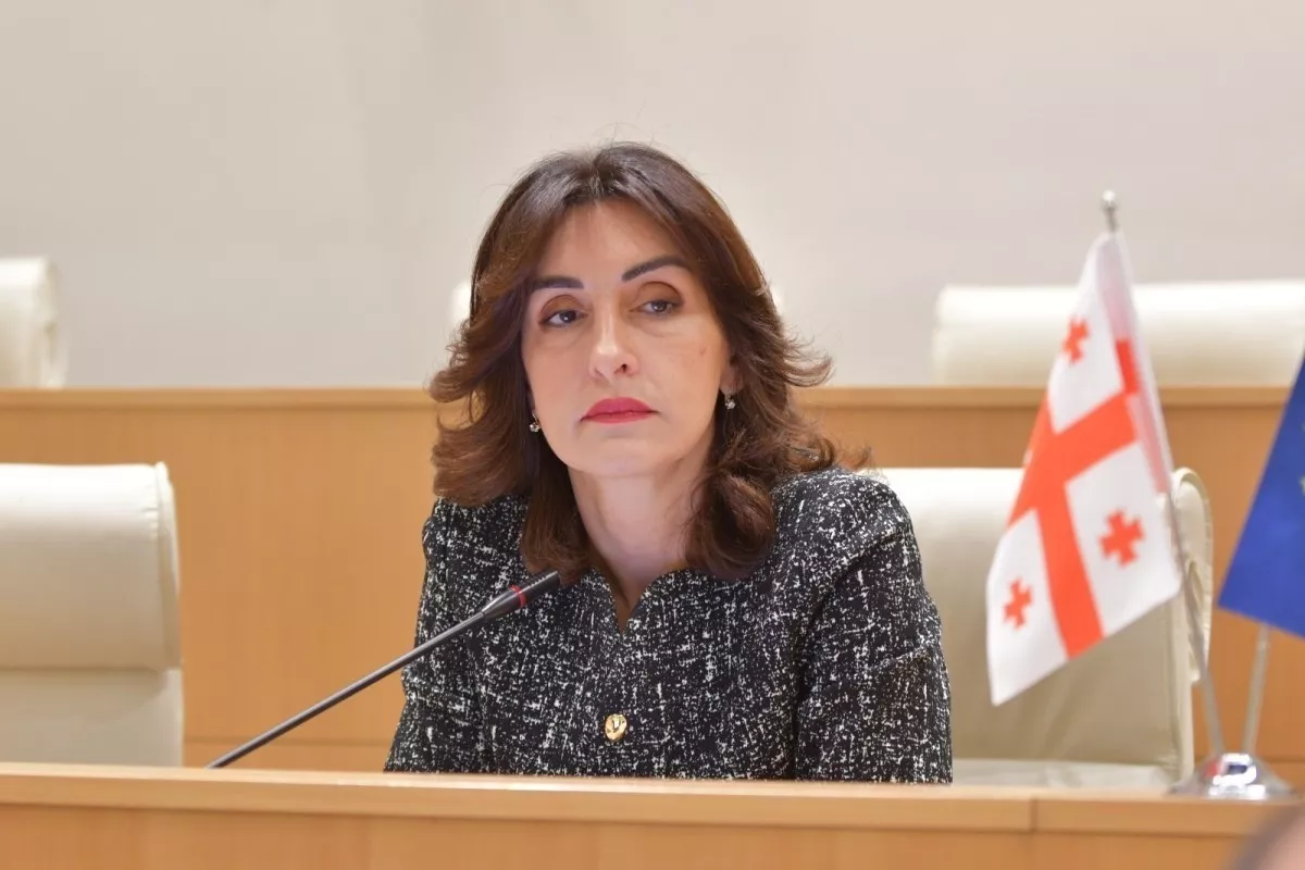 Georgian FM Accuses Europe of Double Standards