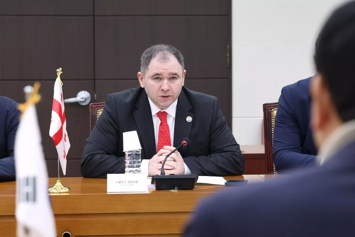 Georgia-Korea Deal: A Strategic Step for Expanding Constrained Markets